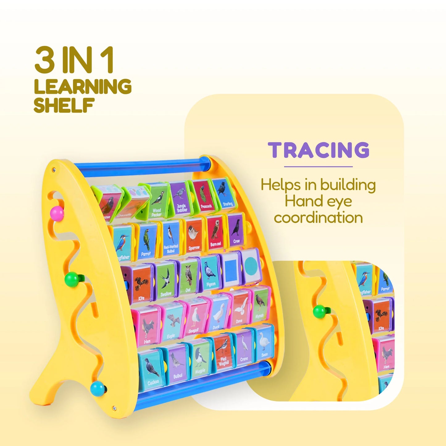 Animal and Bird Names | Educational Development Toys | English