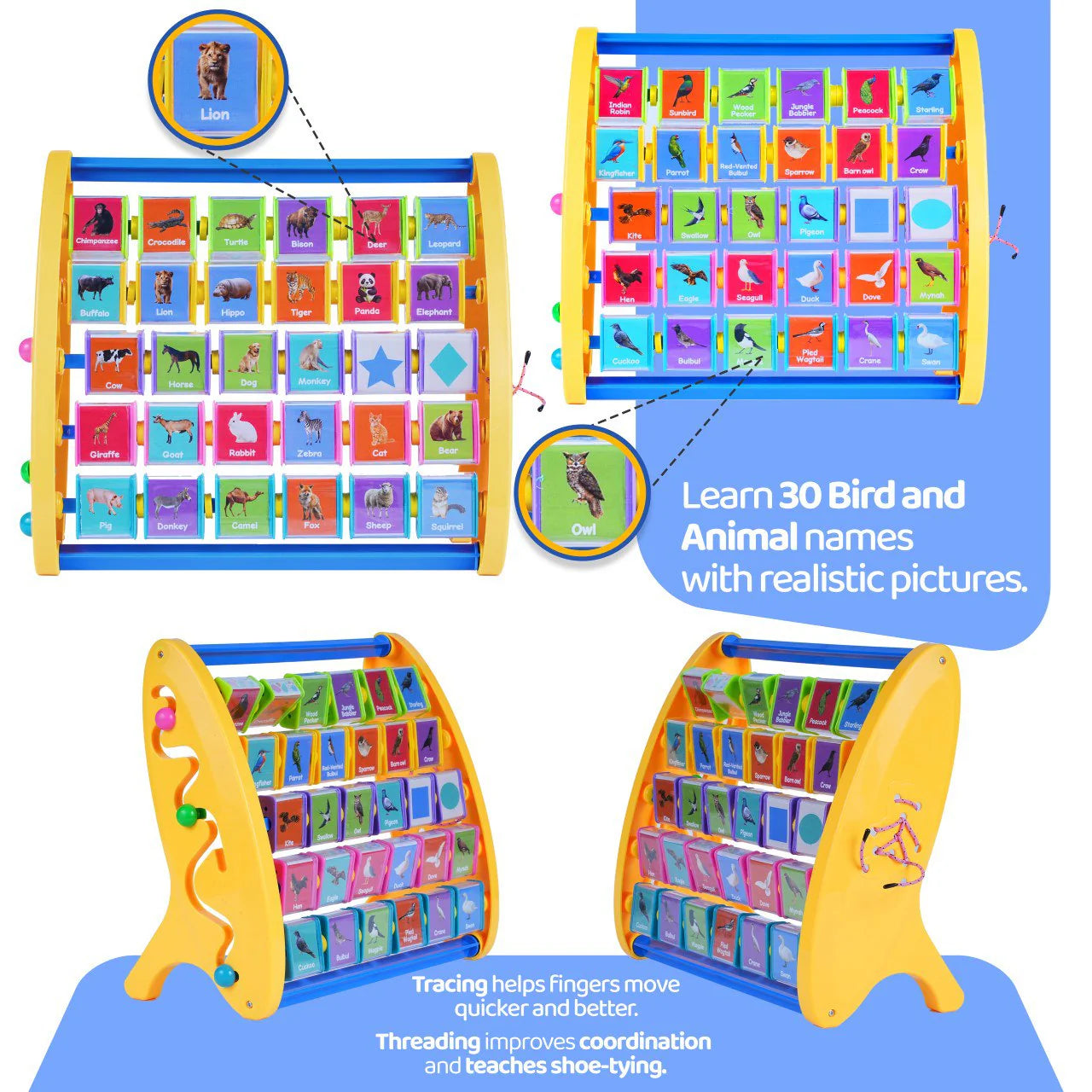Animal and Bird Names | Educational Development Toys | English